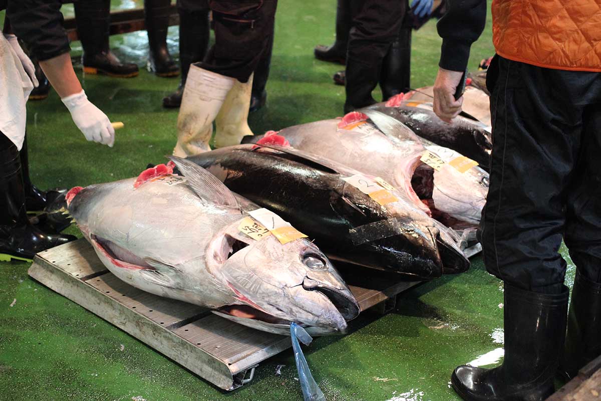 株式会社北栄水産