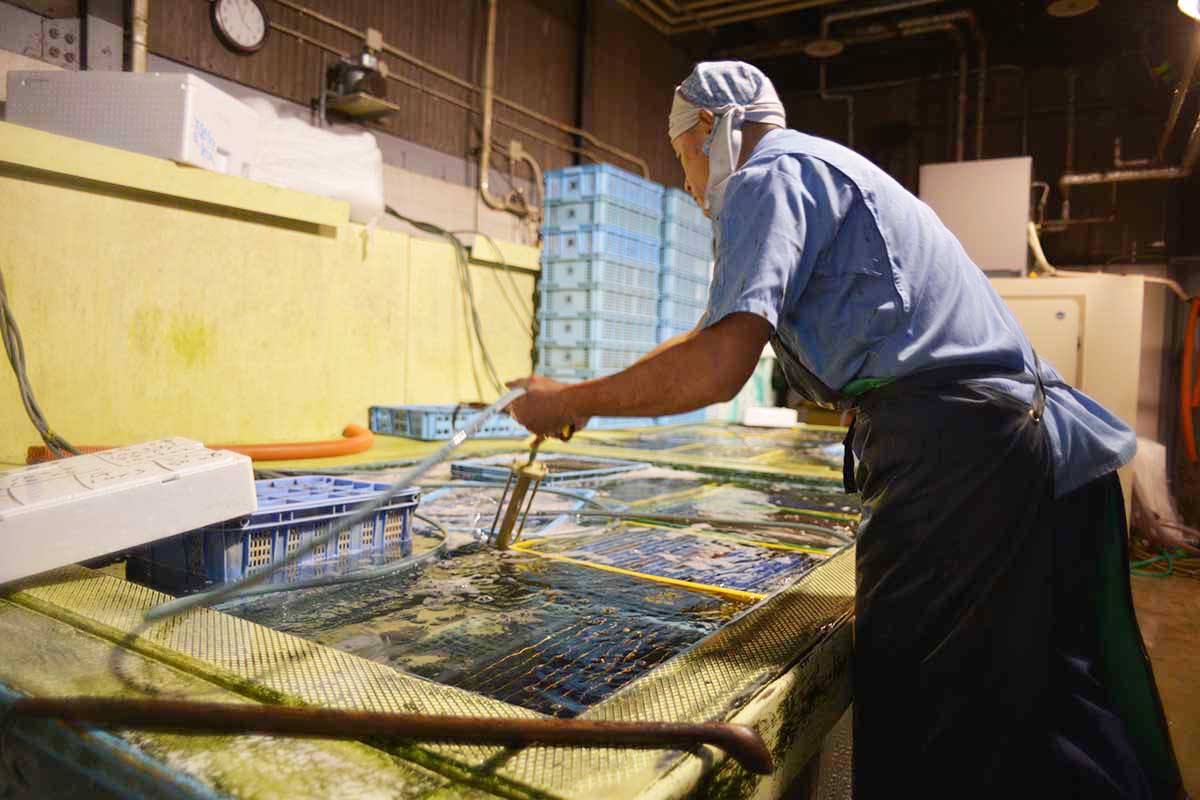 株式会社北栄水産