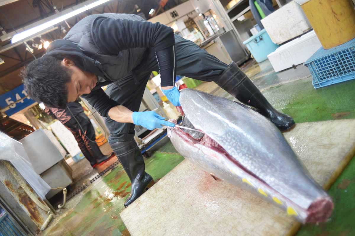 株式会社北栄水産