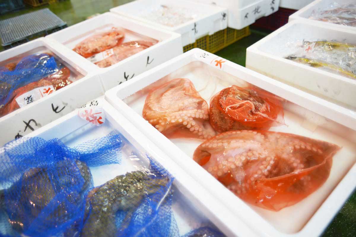 株式会社北栄水産