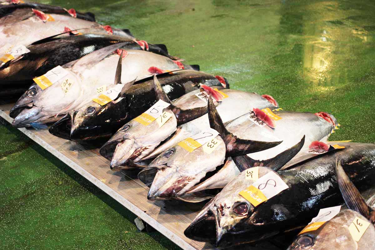 株式会社北栄水産